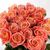Букет из 21 коралловой розы
